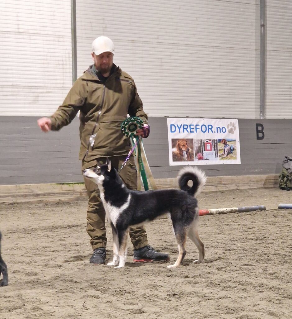 Kan være et bilde av 1 person, hund og tekst