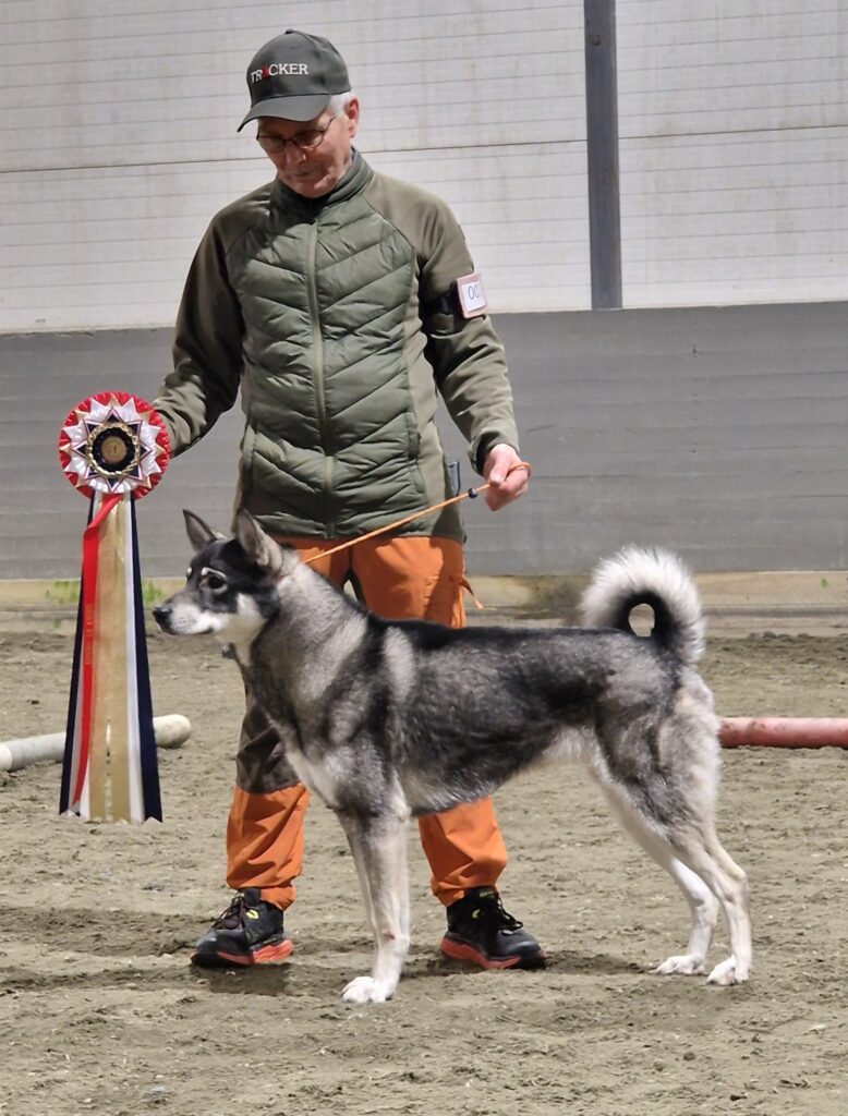 Kan være et bilde av 1 person, hund og tekst